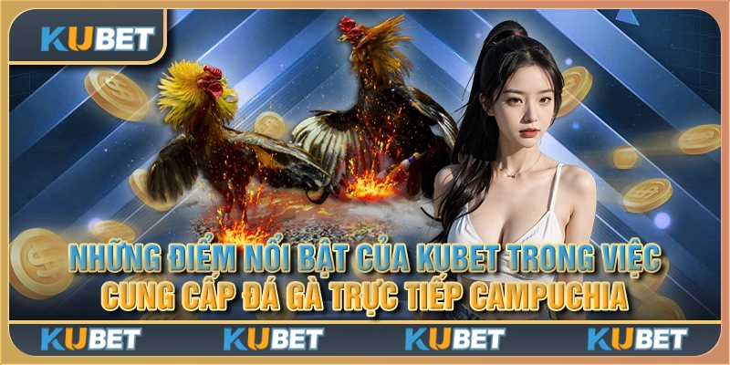 Những điểm nổi bật của Kubet trong việc cung cấp đá gà trực tiếp Campuchia