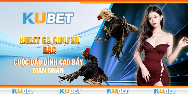 Gà Chọi Xứ Bắc