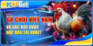 Gà Chọi Việt Nam