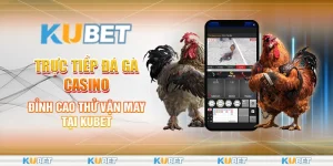 trực tiếp đá gà casino