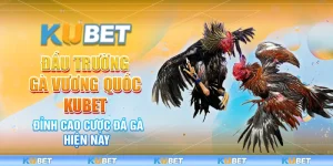 Đấu trường gà vương quốc