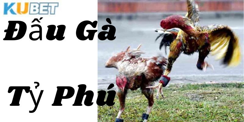 Kinh nghiệm chơi từ các chuyên gia hàng đầu