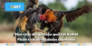 Mẹo cược đá gà hiệu quả tại Kubet: Phân tích và dự đoán chính xác